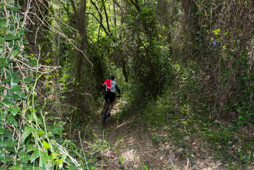 Vi piace andare in Mountain Bike ? Bene, sul territorio sono presenti 26 km di sentieri adatti alla MTB: Enduro/AllMountain ed XC, con 3140mt di dislivello. Sul sito Lerici Bike potete visionare i percorsi e divertirvi ad andare alla scoperta del Parco di Montemarcello.